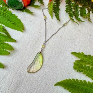 Ecaille de Dryade – Clairière Moussue