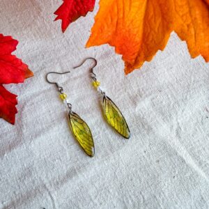 Ecailles de Fée – Orge – Petites